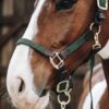 Plaited Nylon Halter - Image 20