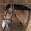 Working Motion Bridle - Image 5