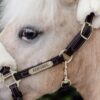 Leather Halter Sheepskin - Image 2