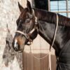 Plaited Nylon Horse Lead - Image 15