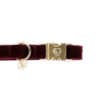 Dog Collar Corduroy - Image 1