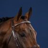 Silver Clincher Straight Browband - Image 1