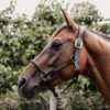 Anatomic Leather Halter - Image 10