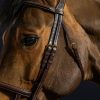 Double Noseband Bridle - Image 1