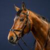 X-Fit Bridle - Image 7