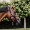 Plaited Nylon Halter - Image 16