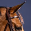 Anatomic Flash Noseband Bridle - Image 4