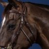 Hackamore Bridle - Image 1