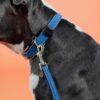 Plaited Nylon Dog Leash 200 cm - Image 6