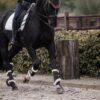 Brushing Boots Air - Image 8