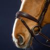 Anatomic Flash Noseband Bridle - Image 2