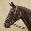 Matte Large Crank Noseband Bridle With Flash - Image 3