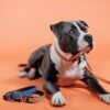 Plaited Nylon Dog Leash 200 cm - Image 29