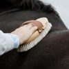 Overall Brush Body Shine - Image 3