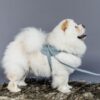 Dog Leash Wool Short - Image 2