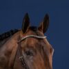 Silver Clincher V-Shaped Browband - Image 2