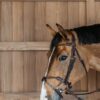Braided Flash Noseband Bridle - Image 5