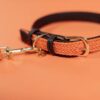 Plaited Nylon Dog Collar - Image 31
