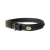 Plaited Dog Collar - Image 1