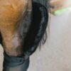 Transport Stable Bandage Pad with hock protection - Image 1