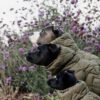Dog Coat Winter Pina - Image 9