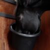 Feed Bucket - Image 4
