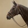 Patent Large Crank Noseband Bridle With Flash - Image 5