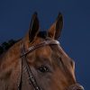 Wide Noseband Hunter Bridle - Image 2