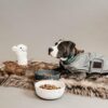 Dog Coat Reflective Water Repellent - Image 2