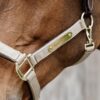 Nylon Anatomic Halter - Image 5