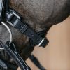 Plaited Medium Noseband with Pull-back - Image 1