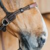 Bitless Bridle - Image 7