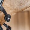 Round Leather Bridle - Image 7