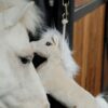 Relax Horse Toy Sammy - Image 5