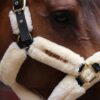 Sheepskin Shipping Halter - Image 4