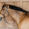 Bitless Bridle - Image 10