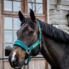 Velvet Halter - Image 8