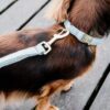 Dog Leash Wool Short - Image 4