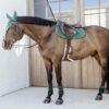 Young Horse Fetlock Boots Velvet - Image 8