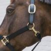 Nylon Halter Breakaway - Image 14