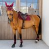 Young Horse Fetlock Boots Velvet - Image 16