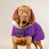 Dog Coat Original - Image 12