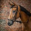 Adjustable Drop Noseband Bridle - Image 3