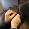 Grooming Deluxe Rubber Bands - Image 3