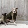 Dog Sweater Teddy Fleece - Image 7