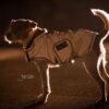 Dog Coat Reflective Water Repellent - Image 3