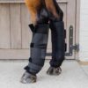 Stable Boots PROtect Classic Hind - Image 2