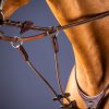 Elastic Running Martingale Attachment - Image 2