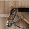 Flash Noseband Bridle with Snap Cheekpieces - Image 3