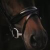 Patent Large Crank Noseband Bridle With Flash - Image 2